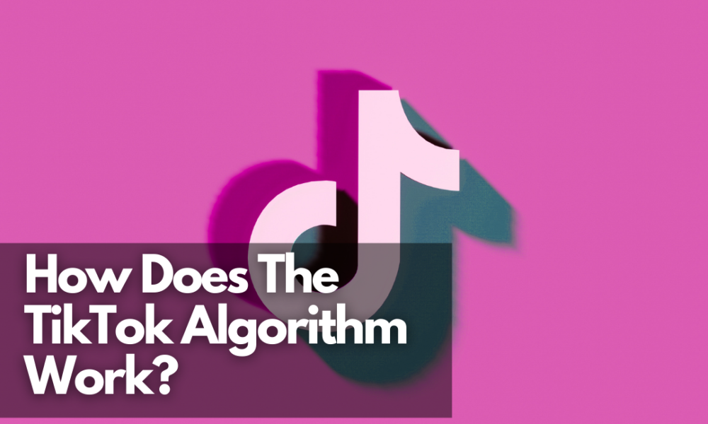 How Does The Tiktok Algorithm Work Net Influencer 