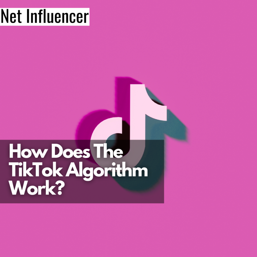 How Does The TikTok Algorithm Work Net Influencer