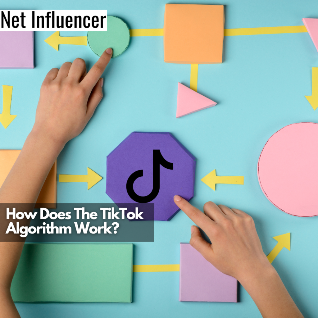 How Does The TikTok Algorithm Work? | June 2022 Update