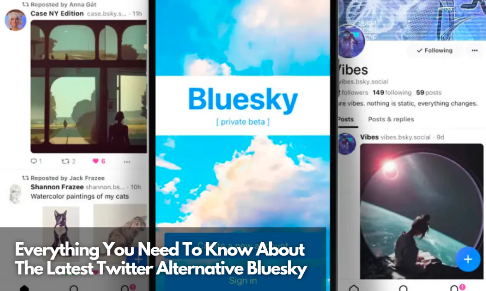 Everything You Need To Know About The Latest Twitter Alternative Bluesky